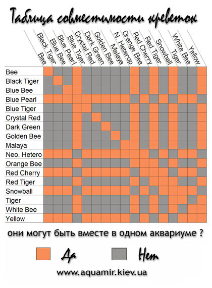 Таблица совместимости креветок