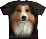 Sheltie Face