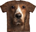 American Cocker Spaniel Face