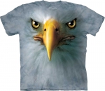 Eagle Face