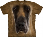 Great Dane Face