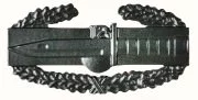Rothco Combat Action Badge 1730
