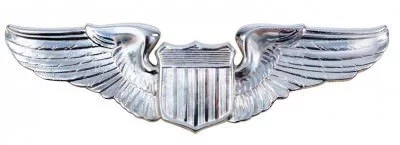 Квалификационный знак авиатора Военно-Воздушных Сил США Rothco USAF Pilot Wing Pin (1 шт) 1650, фото