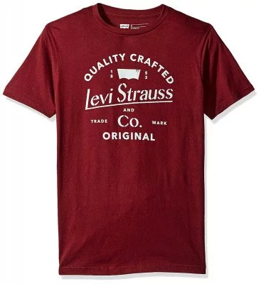 Футболка Levi's Men's Apache T-Shirt Burgundy, фото