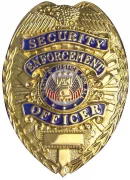 Rothco Deluxe Security Enforcement Officer Badge Gold 1916