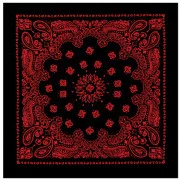 Rothco Trainmen Bandana Black/Red Print  (56 x 56 см) 4043
