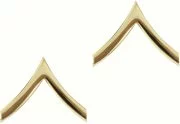 Rothco Private Insignia Gold (2 шт) 1640