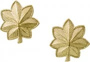 Rothco Major Insignia Gold (2 шт) 1703