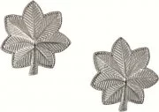Rothco Lieutenant Colonel Insignia (2 шт) 1704