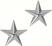 Rothco Brigadier General Insignia Stars (2 шт) 1706