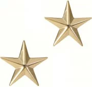 Rothco Brigadier General Insignia Stars Gold (2 шт) 1716