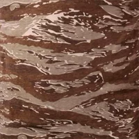 Desert Tiger Stripe Camo