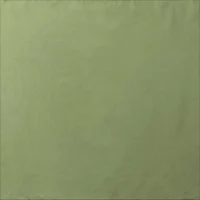 Olive Drab