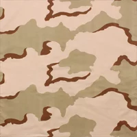 Tri-Color Desert Camo