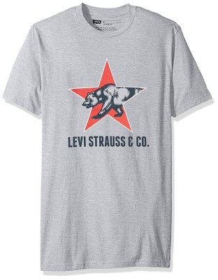 Футболка Levis Mens T-Shirt with California Bear Graphic Heather Grey, фото