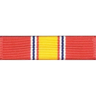 Орденская колодка Ribbon - National Defense, фото